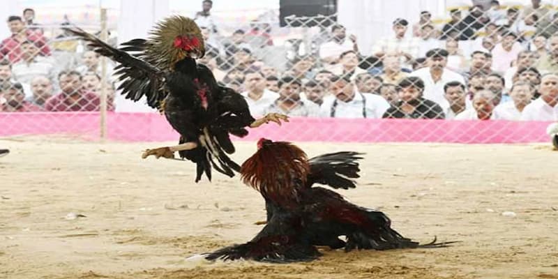 Các lỗi thường gặp và cách khắc phục