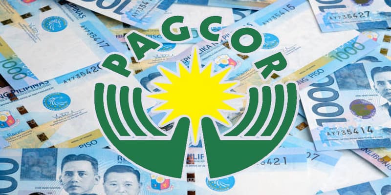 Quy trình cấp phép và giám sát định kỳ